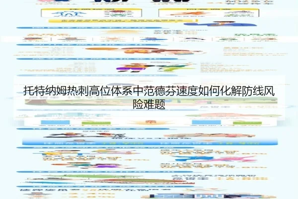 托特纳姆热刺高位体系中范德芬速度如何化解防线风险难题